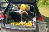 Ohio orchard goes viral after family tries to steal $300 of apples