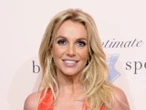 Britney Spears fans confused as pop star shares same topless photo