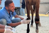Gaza vet ‘killed by IDF’ while returning home after ceasefire