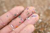 Microplastics in our organs could be tied to disease, researchers say