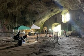 Secrets to be revealed of castle’s hidden cave once home to a hippo