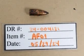 Landscaper shot by stray bullet during nearby Air Force drill: lawsuit