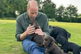 Prince of Wales celebrates birthday with cute puppy picture