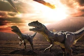 New dinosaur discovery could hold the key to human cancer treatment