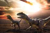 Scientists say they have finally uncovered what killed off dinosaurs