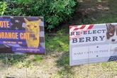 Claws are out after cat mayoral race was hijacked by other pets