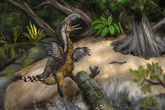 Teeth marks show ‘terror bird’ possible killed in fight with caiman