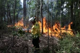 Australia and New Zealand issue fire warnings as heat records tumble