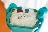 Drug combination found to extend lifespan by 30 per cent