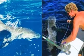 Trump pardons 2 divers who freed 19 sharks off the coast of Florida