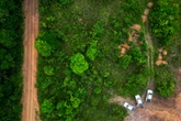 ‘Stonehenge of the Amazon’ reveal clues to who lived in the rainforest