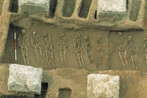 DNA study reveals origin of world’s first recorded pandemic