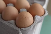 Nearly 100 people fall ill in salmonella outbreak linked to eggs