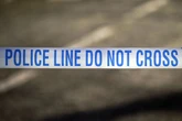 Two arrested after spate of dog attacks leave multiple people injured