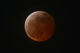 The Moon is about to turn ‘bloody’. Here’s how to see it