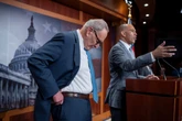 Dem strategist says some in party as boring as ‘watching paint dry’