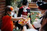 Dentists issue plea to replace sweets this Halloween