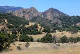 Boy rescued from mountain lion’s jaws after Malibu park attack