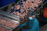 State urges residents to check freezers for radioactive shrimp