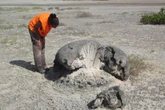 Evidence of catastrophic medieval tsunami reveals risk to Caribbean