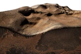 Largest ever chunk of Mars that fell to Earth being auctioned