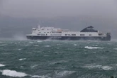 Man killed by tree branch as storm buffets New Zealand