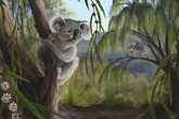New fossil discovery changes what we thought about koalas’ origins