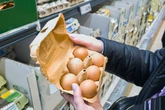 The reason eggs are less likely to crack when dropped on their side