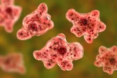 ‘Brain-eating amoeba’ detected in drinking water supplies in Australia