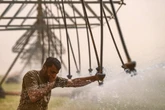 At least 1800 hospitalised in Iraq as sandstorm hits