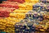 The mystery of the first potatoes has finally been solved