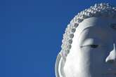 A huge Buddha statue appeared in New Jersey. Then the worshippers came