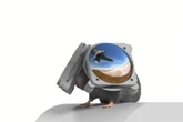 Scientists create VR goggles for mice to learn how animals think