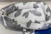 Baby loungers recalled over risk of serious injury or death