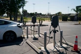 One in four cars sold this year will be electric, report says