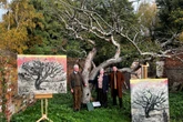 Race to save Britain’s original Bramley apple tree from private sale