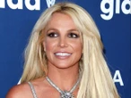 ‘Stunned’ Britney fans react to star’s plea for freedom