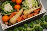 Plant-based diet ‘linked to better sexual health in men with prostate cancer’