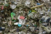 Hazardous waste among 30,000 tonnes of rubbish dumped in woods
