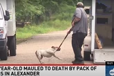 Teen girl killed by pack of neglected dogs as she ‘tried to help them’
