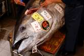 Buyer pays £1.2m for giant 276kg-bluefin tuna at New Year’s auction