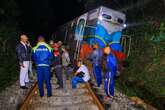 Sri Lanka train derails after crashing into elephant herd