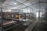 A 15-year-old with no criminal history wound up at Alligator Alcatraz