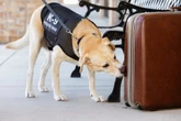 Trump critic barred from graduation of K9 named after dead wife
