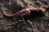 Tyrannosaur fossil reveals dark secret about apex predator
