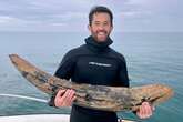 Fossil-hunting diver says he has found large section of mastodon tusk