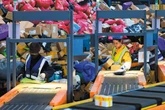China continues push for greener packaging