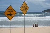 Man killed in shark attack off Western Australia coast