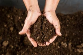 Maine high schoolers accidentally served baked dirt for dessert