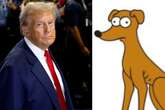 Simpsons memes go viral after Trump says ‘dogs are being eaten’